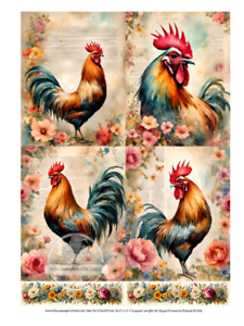 Floral Chickens | A4 Rice Paper | Paper for Decoupage | AB Studios
