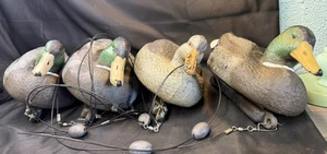 Lot of 4 Tanglefree Decoys Ducks Hunting Plastic With Weights - Picture 1 of 8