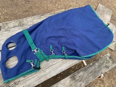 Capucha estable de caballo de invierno aislada azul marino L usada en muy buena condición Foto 1 de 4