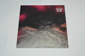 HAYLEY WILLIAMS Flores para Jarrones / Descansos LP 2021 NUEVO SELLADO Vinilo Indie Pop - Imagen 1 de 2