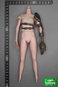 1:6 Scale Premier Toys PT-0013 Fury Goddess - Body w/ Trigger Arm (NO HEAD FEET) - Picture 1 of 5