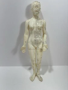 Body Acupuncture Model Professional Point Model Human Body Acupuncture 18” - Picture 1 of 12