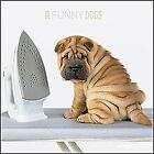 Funny Dogs 2023 - Broschürenkalender 30x30 cm (30x6... | Buch | Zustand sehr gut
