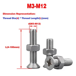 304 SS Countersunk Head / Flat Head Phillips Screws Nut Combination M3-M12 - Picture 1 of 6