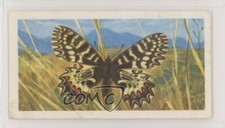 1964 Brooke Bond Butterflies of the World Zerymthia polyxena #1 0e3