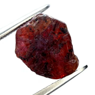 Certified 6.00ct Natural Untreated Red Color Ruby Unheated Rough 12.4x10.3 mm - Image 1 of 4