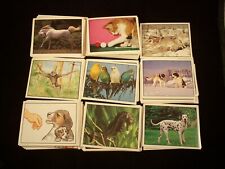 MY FAVORITE ANIMALS set of 180 Stickers  Made by Panini  - Trading Cards