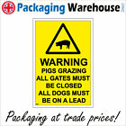WS511 PIGS GRAZING ALL GATES CLOSED DOGS ON A LEAD SIGN PIGLETS FIELDS MUD