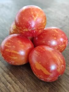 TIGERETTE Balkontomate  Tomate für Kübel Tomaten * 10 Samen