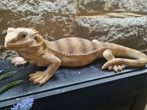 Vivid Arts Bearded Dragon Lizard Reptile - Lifelike Ornament Gift Indoor Outdoor - Picture 1 of 6