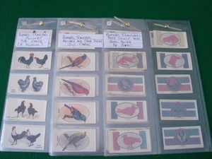 84 PLAYERS TRANSFERS --BOY SCOUT & G.--AVIARY & CAGE BIRDS & POULTRY FROM 3 SETS - Picture 1 of 5