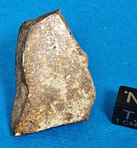 17.3 GRAM SLICE PUTINGA L6 CHONDRITE METEORITE, 1937 BRAZIL OBSERVED FALL - Picture 1 of 2