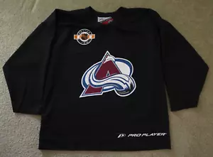 Vintage NHL Center Ice Colorado Avalanche PRO PLAYER Practice Jersey Large MIC - Picture 1 of 15