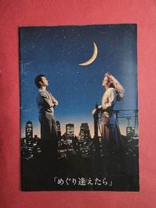 Sleepless In Seattle (1993) Filmprogramm Nora Ephron Tom Hanks Meg Ryan  - Bild 1 von 2