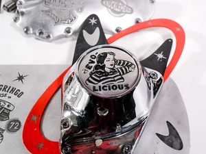 Evo Evolicious Pinup Aluminio Puntos Punto de Tiempo Temporizador Cubierta 2 Agujeros Se Adapta a Harley - Imagen 1 de 6