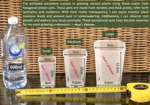 Clear Hexagon/Square Plastic Plant Pots~Size Small (15 Pots) - Picture 1 of 6