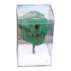 Green Miniature Tree Plant Sand Table Layout Scene Model Sand Table Layout