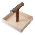 Brown Bird Stand Tabletop Durable Parrot Play Equipment Chew Toy