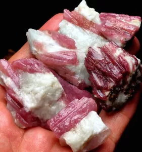 120g 6 STCK. Natürliche Rote Turmalin Quarz Kristall Cluster Mineral Probe P70 - Bild 1 von 6
