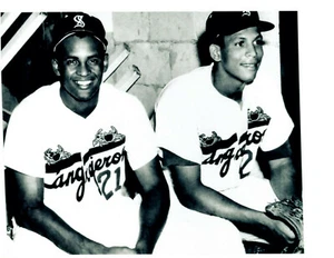 ROBERTO CLEMENTE ORLANDO CEPEDA SANTURCE CRABBERS 8X10 PHOTO BASEBALL HOF - Picture 1 of 1