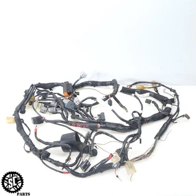 ARNÉS DE CABLEADO ABS Kawasaki Ninja ZX14R 16-18 Foto 1 de 4