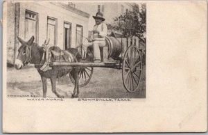 Vintage BROWNSVILLE, Texas Postcard "WATER WORKS" Donkey Cart 1907 Mexico Cancel - Picture 1 of 2