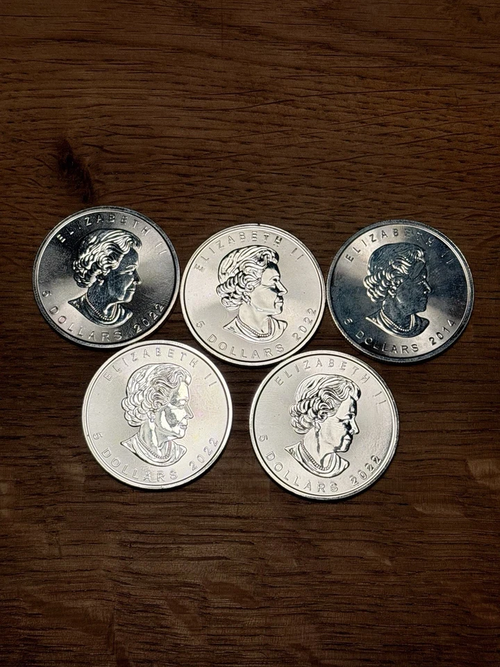 5x 1 OZ Silbermünze Maple Leaf Canada 2022 & 2014 - Bild 1 von 1