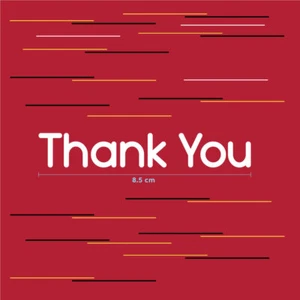 THANK YOU HEAT-PRESS DETAILS FOR MANCHESTER UNITED FC 2019-20 EUROPA LEAGUE - Picture 1 of 5