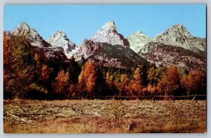 Teton Range, Parco Nazionale del Grand Teton - Fogliame autunnale e vista montagna - Foto 1 di 2