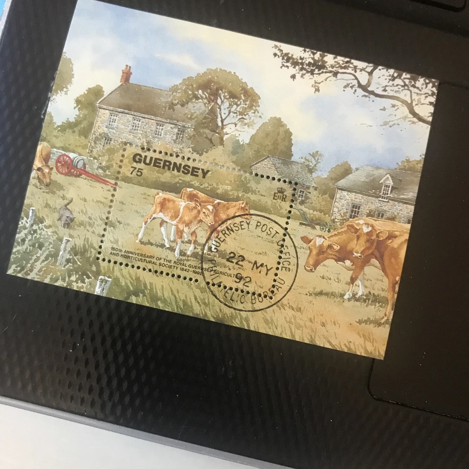 Guernsey USED   Stamps R.G.A.H.S. 150th Anniversary Minisheet  1992   - Image 1 of 1