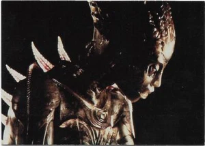 1995 Metro Goldwyn Mayer Pictures Base Card SPECIES ( # 73 ) - Picture 1 of 1