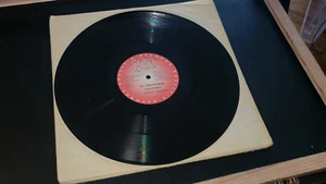 Apachie Scratchie / Sluggy Gal Lose The Work 12" Dancehall Reggae Vinyl 1991 - Picture 1 of 3