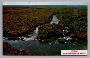 Mapa postal 1981 vista aérea de la península superior de Michigan Lower Tahquamenon Falls - Imagen 1 de 2