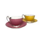 Aynsley Cottage Garden Cup & Saucer 2P Set Yellow and Pink Bone China Pre-owned