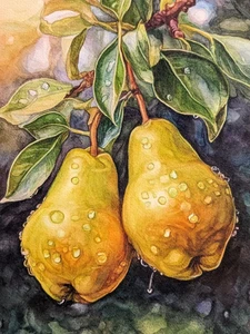 Pears on Branch Painting Watercolor Fruit Still Life Food Kitchen Botanical Art - Picture 1 of 10