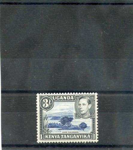 Foto 1 di 1