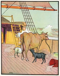 W.H. Fry illustration FARM ANIMALS ON SHIP 1903 chromolithograph Billy Whiskers - Picture 1 of 3