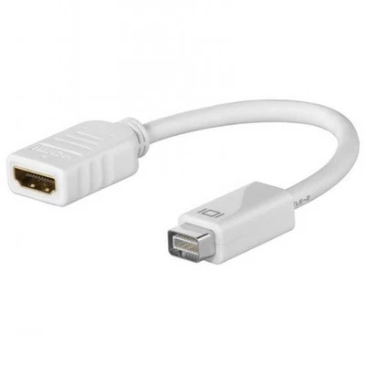 ADATTATORE MINI DVI MASCHIO - HDMI FEMMINA - Immagine 1 di 2