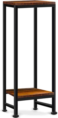 Tall 2-Tier Metal Plant Stand for Indoor/Outdoor Use, 31" Modern Design - Image 1 of 4