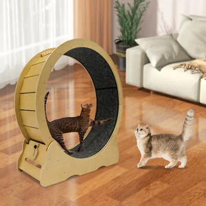 Tapis Roulant Gatto in Legno Sport Corsa Gatto Ruota Cerchio Pista Arrampicata Telaio Giocattoli - Foto 1 di 13