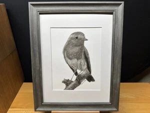 Disegno di un pettirosso fauna selvatica natura grafite matita arte schizzo quadro stampa - Foto 1 di 17