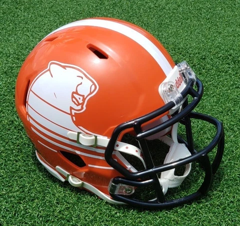 BC LIONS CFL FOOTBALL MINI HELMET 2016-18 ORANGE, OTHER VERSIONS AVAILABLE Cover