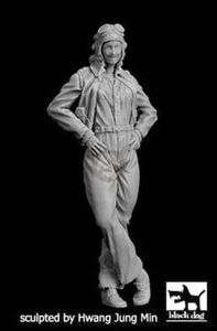 Perro Negro 1/32 EE. UU. Mujer Piloto Americana Mujer Aviadora Manera Cintura F32113 - Imagen 1 de 1
