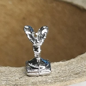 1/18 Rolls-Royce Car Model Auto Logo Car Logo Repair Accessories - Picture 1 of 6