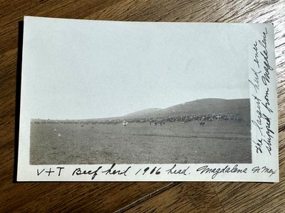 Original 1910's Real Photo POSTCARD V+T RANCH CATTLE DRIVE MAGDALENA NEW MEXICO - Image 1 of 2