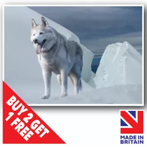 WOLF WOLVES POSTER PRINT SIZES A3 A4 A5 WILDLIFE UNFRAMED LAMINATED WALL ART - Picture 1 of 2