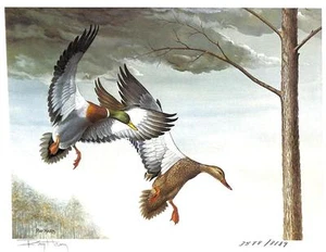 KENTUCKY #1 DUCK STAMP & PRINT WATERFOWL MALLARDS ARTIST SIGNED RAY HARM 1985 - Picture 1 of 1