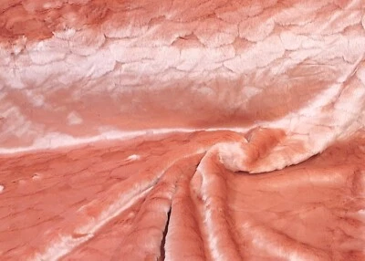 Webpelz Kurzhaar Kunstfell Fell Stoff Altrosa Gemustert Deko Teppich NB3554 - Bild 1 von 4