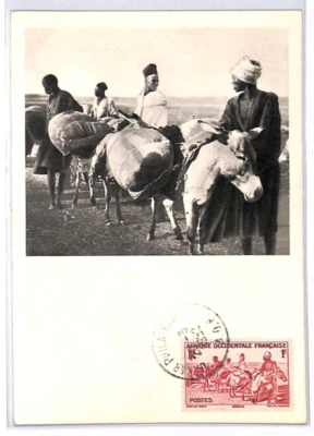 France Cols SENEGAL AOF Postcard MAXI CARD Ethnic PPC 1952{samwells-covers}PH115 - Image 1 of 4