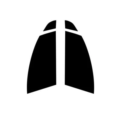 Pre Cut Car Window Tint for Ford Mondeo 5-door Hatchback 2015+ Front Windows - Image 1 of 4